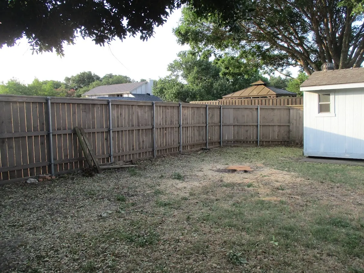 Cleared yard after professional tree removal in Remlap