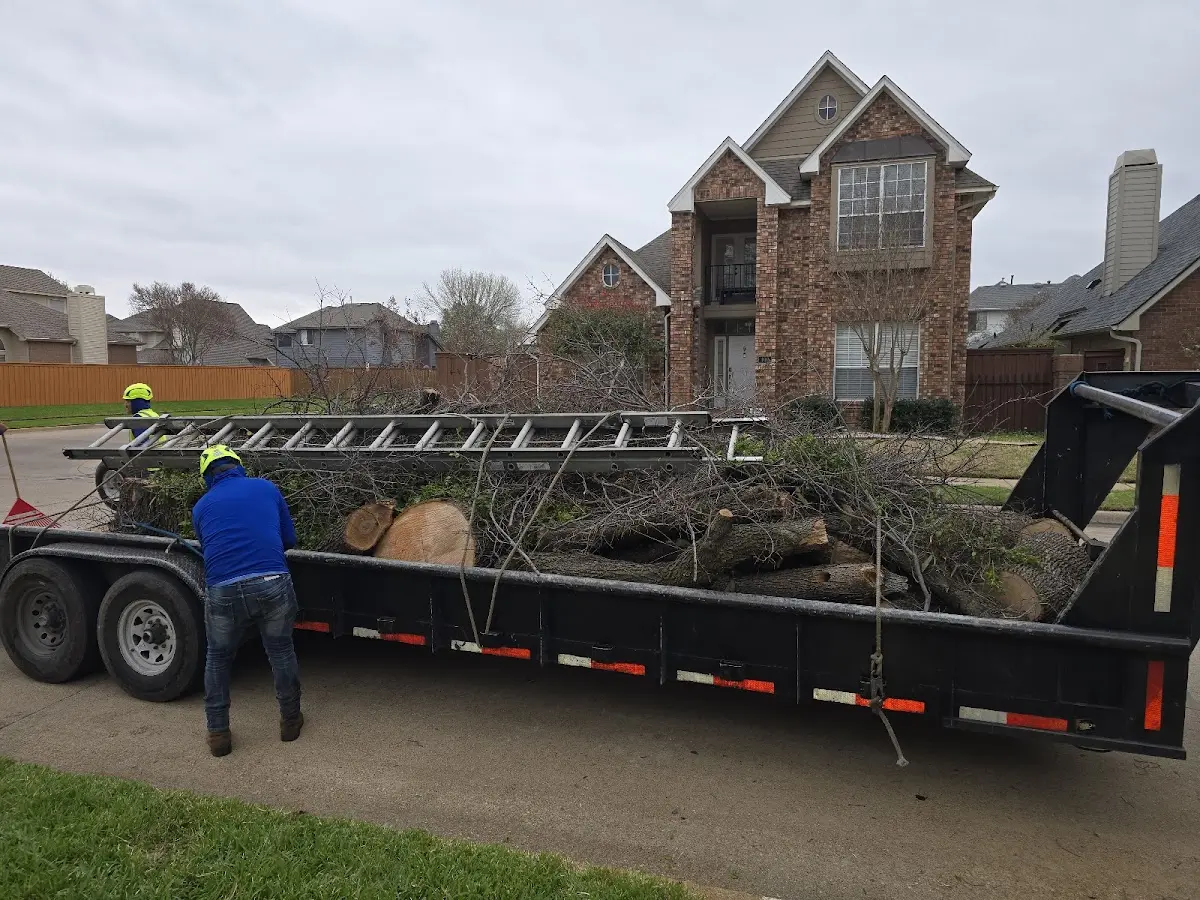 Expert Tree Removal with proper safety equipment in Remlap